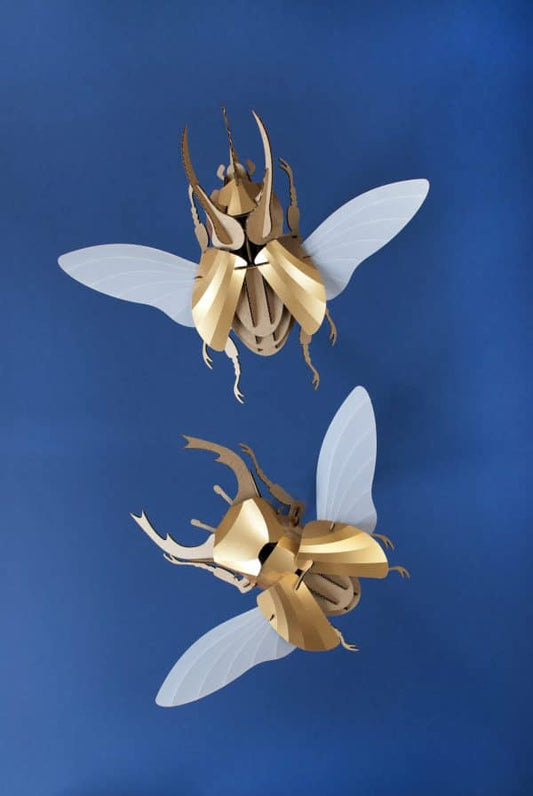 Paper Hercules Beetle - Gold leaf