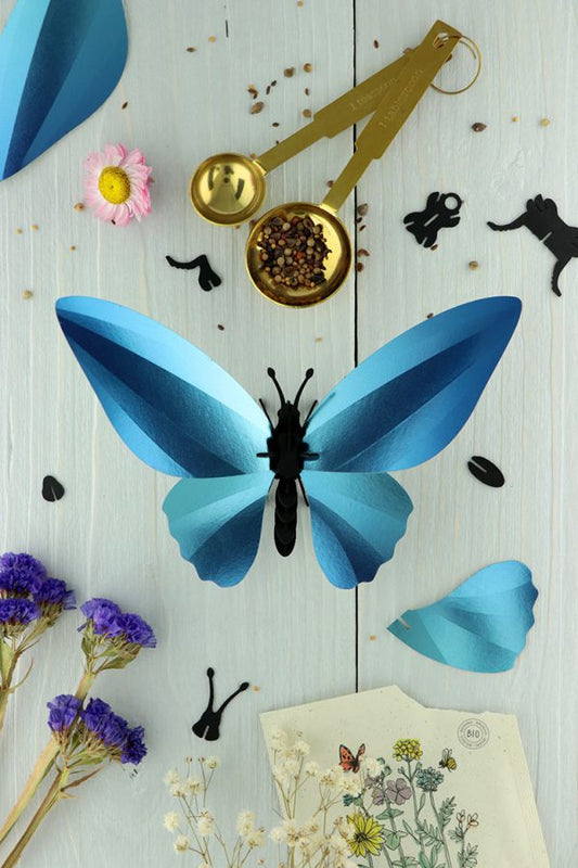 Paper Birdwing Butterfly - Blue