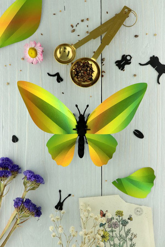 Paper Birdwing Butterfly - Orange/green