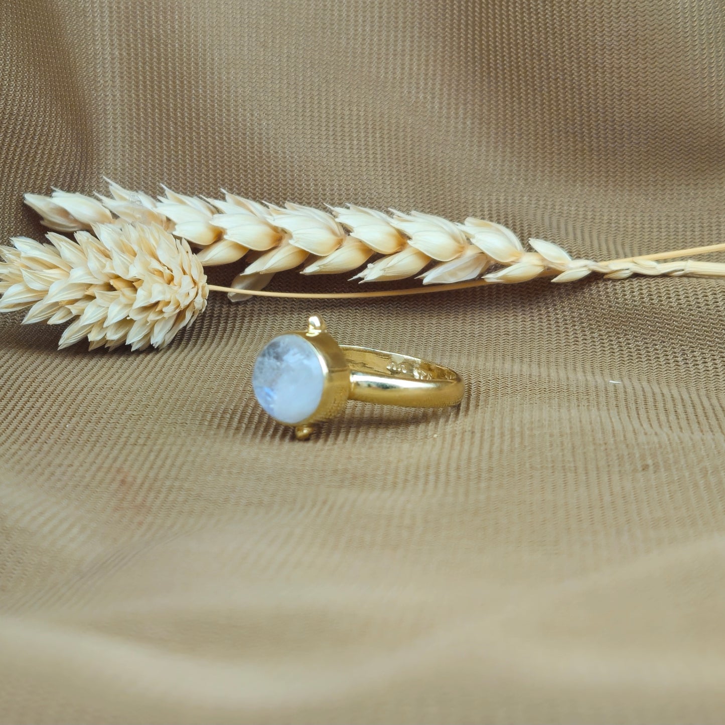 14K Gold Vermeil Clock Ring - Moonstone