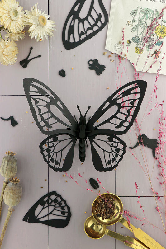 Paper Birdwing Butterfly - Black