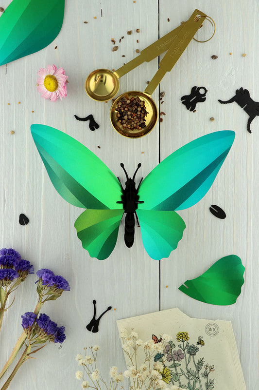 Paper Birdwing Butterfly - Green