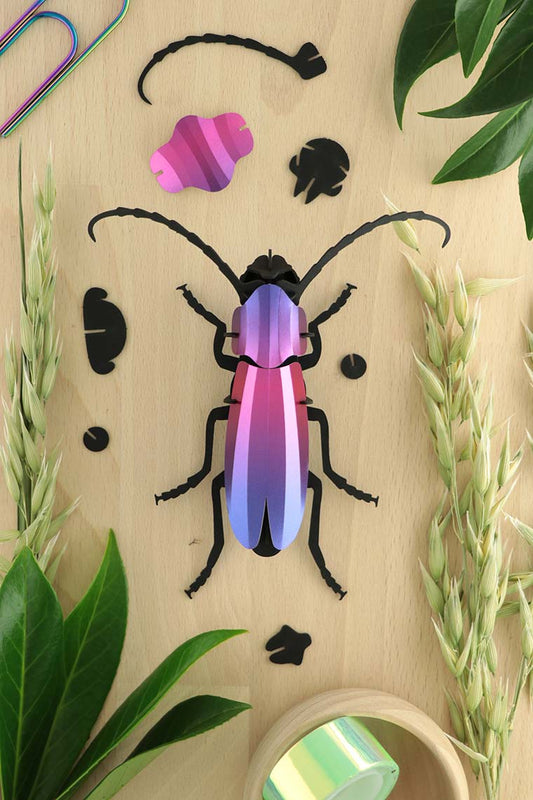 Paper Rosalia Beetle - Purple