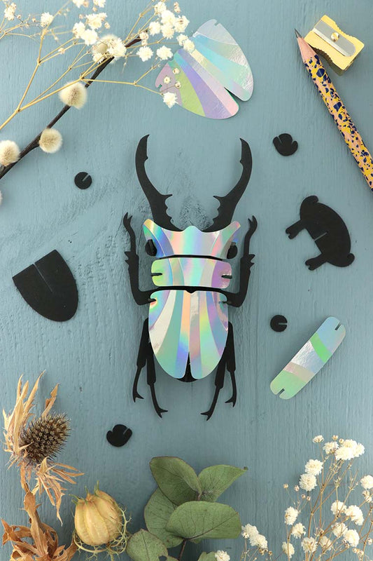Paper Stag Beetle - Rainbow Mirror