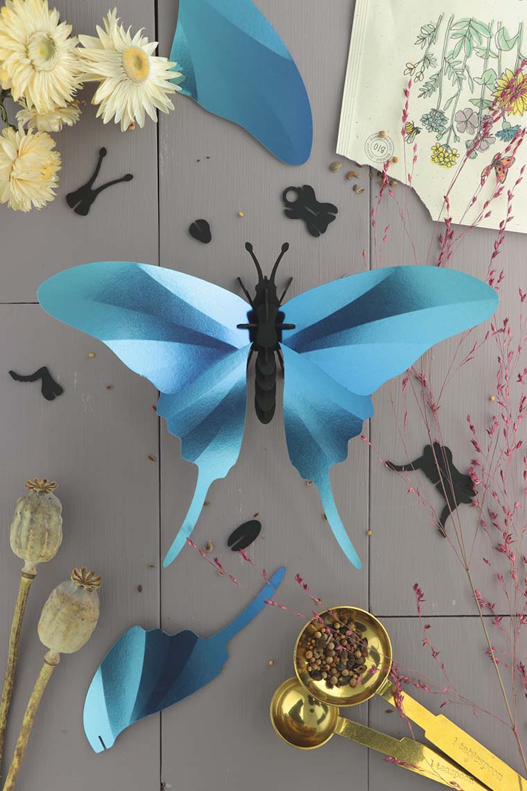 Paper Swordtail Butterfly - Blue