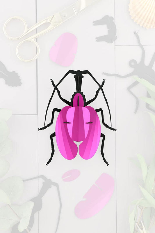 Paper Violin Beetle - Pink