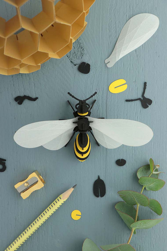 Paper Wasp - Transparent