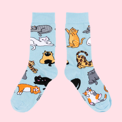 Meow Socks