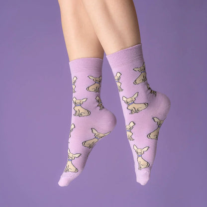 Chihuahua Socks