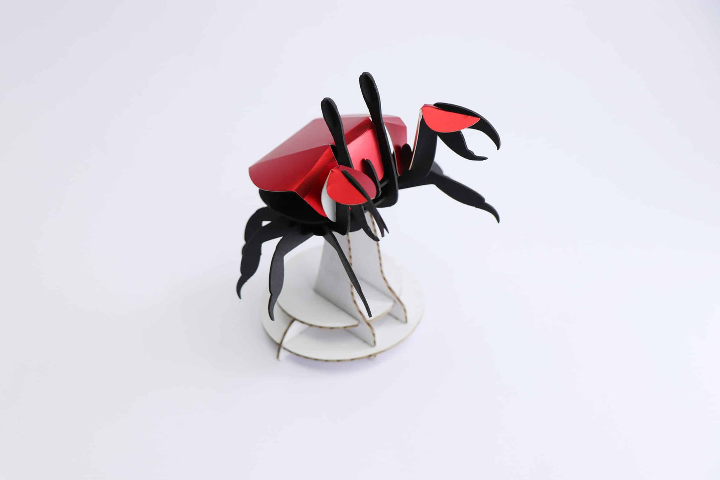 Paper Beach Crab